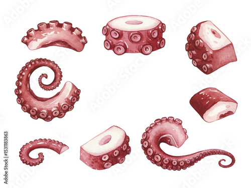 Vector watercolor Seafood / 水彩テイストのシーフードイラスト