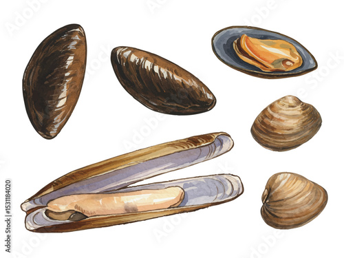 Vector watercolor Seafood / 水彩テイストのシーフードイラスト