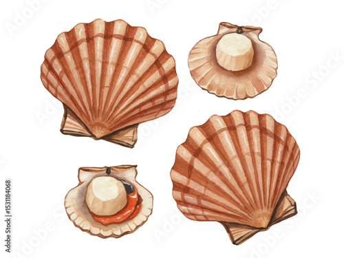 Vector watercolor Seafood / 水彩テイストのシーフードイラスト