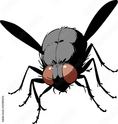Black Fly Silhouette Vector Adobe Illustrator Artwork