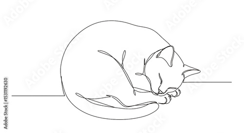 Sleeping cat continuous line drawing minimalist pet art illustration