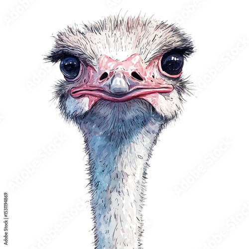 watercolor of Ostrich, vector, isolated on a white background.