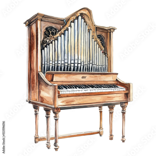 Organ, watercolor vector, isolated on a white background.