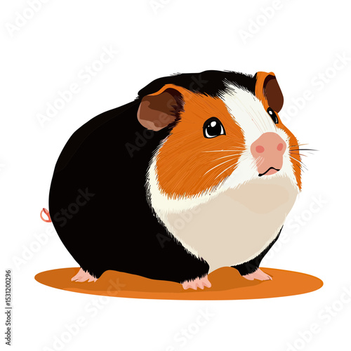 Detailed vector illustration of a cute tri-color guinea pig with black, white, and orange fur sitting on an orange oval shadow in minimalist style