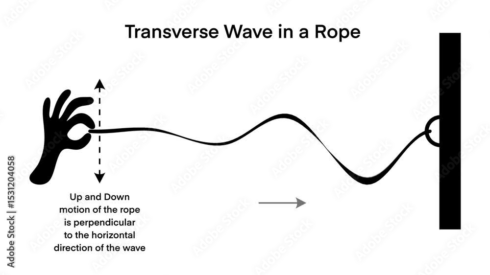 Educational infographic illustrating a transverse wave in a rope ...