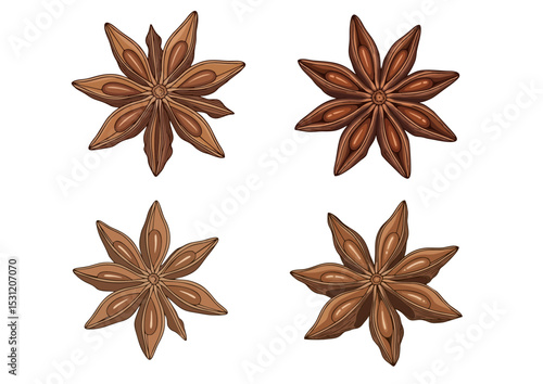 Star anise pod with clean lines and natural brown color in flat vector illustration

