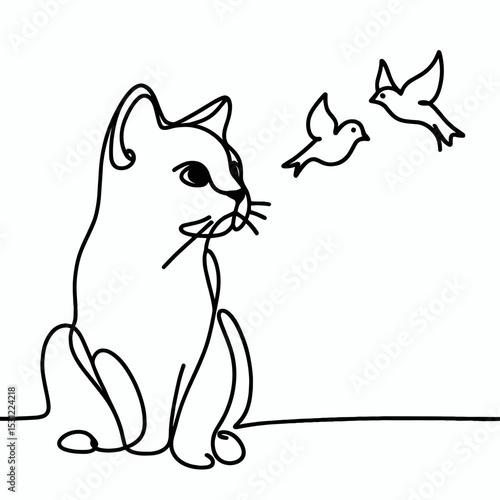 Cat watching birds 