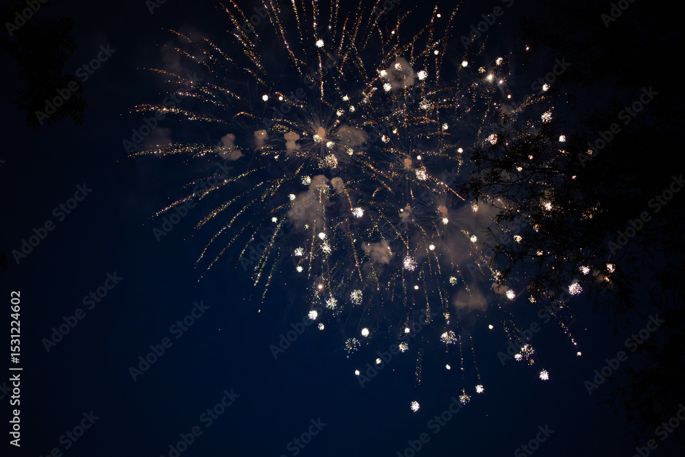 Fototapeta premium Fireworks in the sky