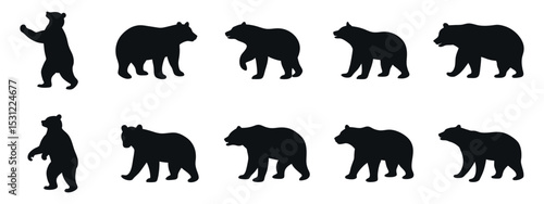 Bear silhouette vector collection in various Poses.