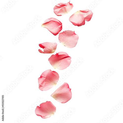 Wallpaper Mural Petals drifting gently in the air, creating a serene atmosphere for relaxation and beauty Torontodigital.ca