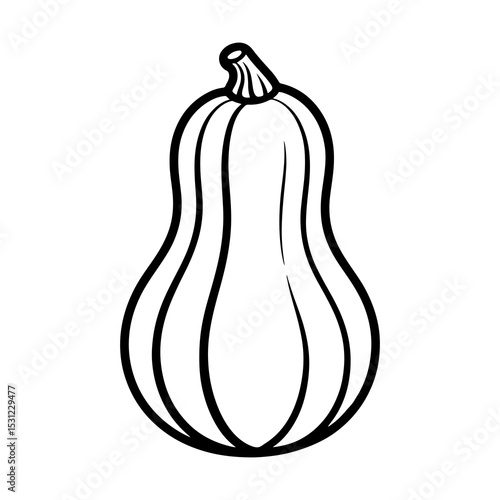 Line art illustration of a butternut squash