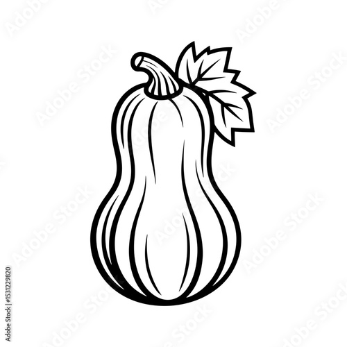 Line art illustration of a butternut squash with leaf