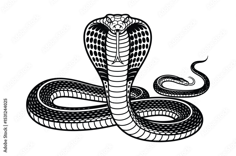 Fototapeta premium King kobra snake vector illustration