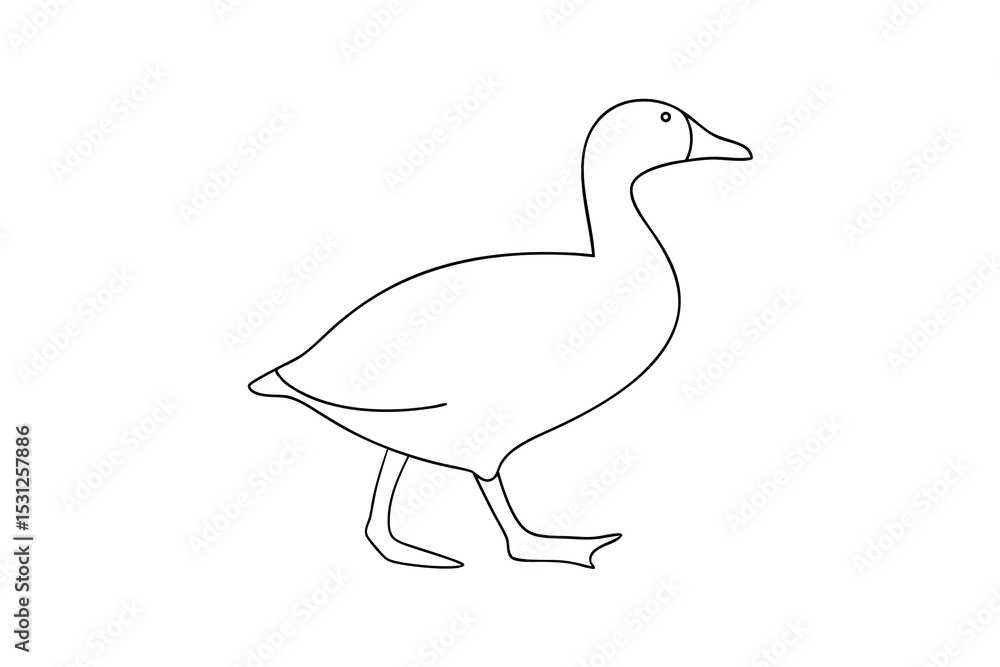 Fototapeta premium Simple line drawing of a goose bird farm animal
