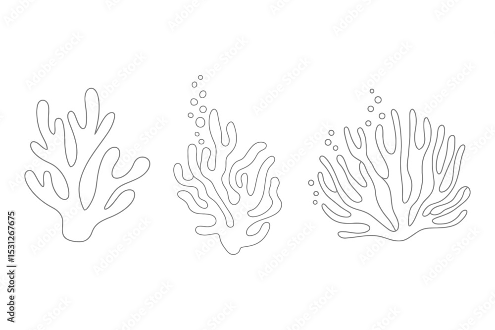 Outlined seaweed with bubbles in a simple drawing Outlined seaweed with bubbles in a simple drawing