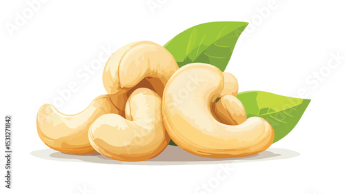 Premium Cashew Nuts Vector Illustration Isolated on White Background