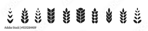 Wheat spike, grain icon set. Vector EPS 10