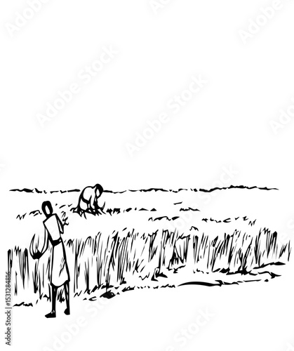 Vector drawing. Reapers in the field