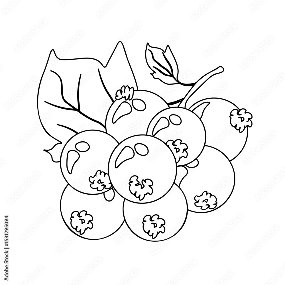 currant branch outline, healthy berries coloring page currant branch outline, healthy berries coloring page
