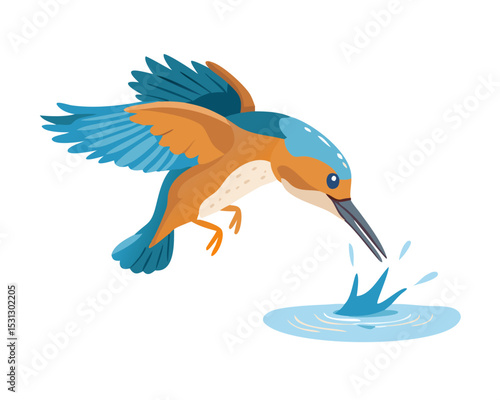 Female Kingfisher emerging from the water after an unsuccessful dive to grab a fish