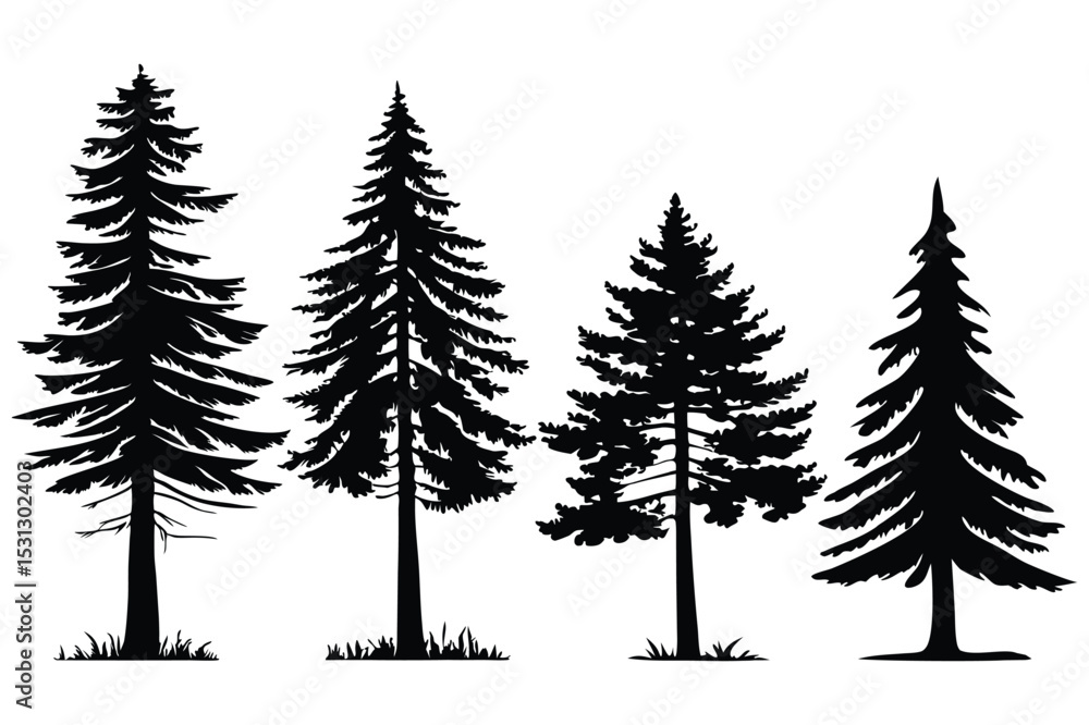 Obraz premium Set of Pine Tree Silhouettes | Vector Evergreen Tree Shapes for Forest and Winter Design