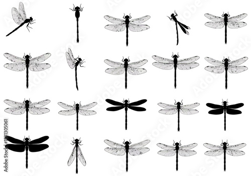 Set of vector flower silhouettes against a blue sky with wind turbines generating green energy