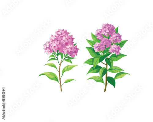 "Pink Oleander Flower Bushes – Hand-Drawn Botanical Illustration Isolated on" Blooming Rhododendron Trees in Spring Garden Illustration"
 White Background"