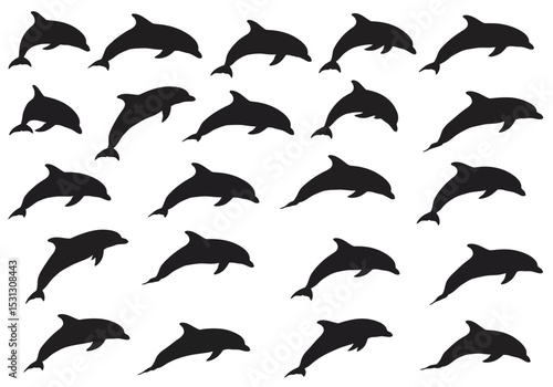 Dolphins Jumping and Swimming in the Ocean The Playful Marine Mammals Diving In the Water Together and Having Fun