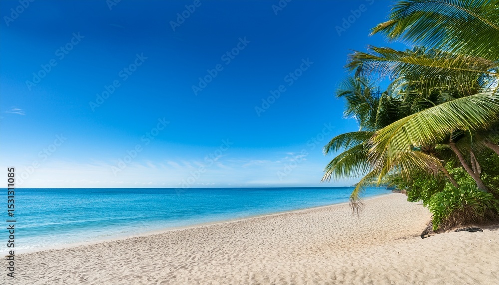 Fototapeta premium tropical beach with palm trees and ocean view isolated on transparent cutout background