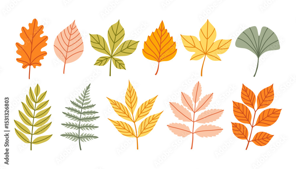 Set of autumn leaves from different trees, oak, maple, chestnut, ash, birch. Simple yellow, red, orange fall leaf set for pattern, banner, sticker. Hello autumn card. Flat vector illustration.