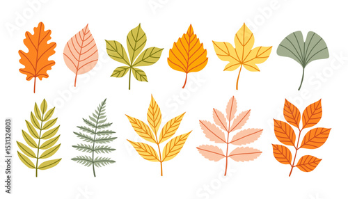Set of autumn leaves from different trees, oak, maple, chestnut, ash, birch. Simple yellow, red, orange fall leaf set for pattern, banner, sticker. Hello autumn card. Flat vector illustration.