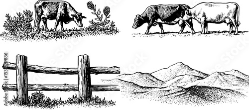 Rural landscape with grazing cattle, alfalfa sprigs, wooden fence, and mountain range