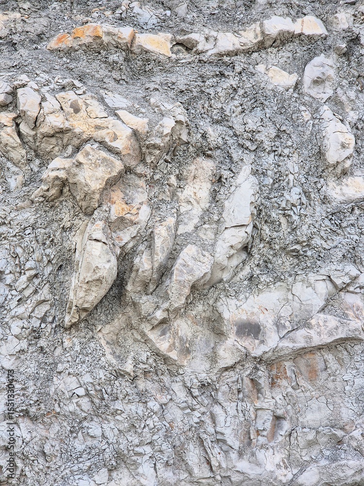 Naklejka premium old stone texture. natural background. clay limestone rocks. dinosaur era rocks