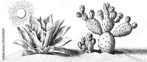 Desert oasis: cactus and flower with sunlit sand dunes for nature design