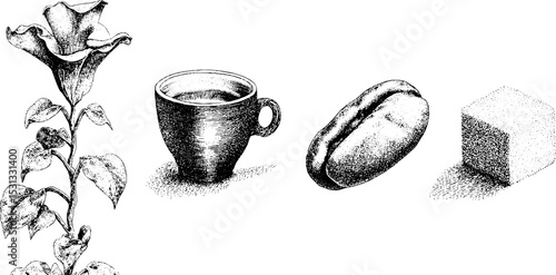 Coffee bean plant and espresso cup with sugar cube and leaf art design