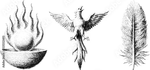 Mystical phoenix collection with fireball, rising bird, and feathers for artistic design