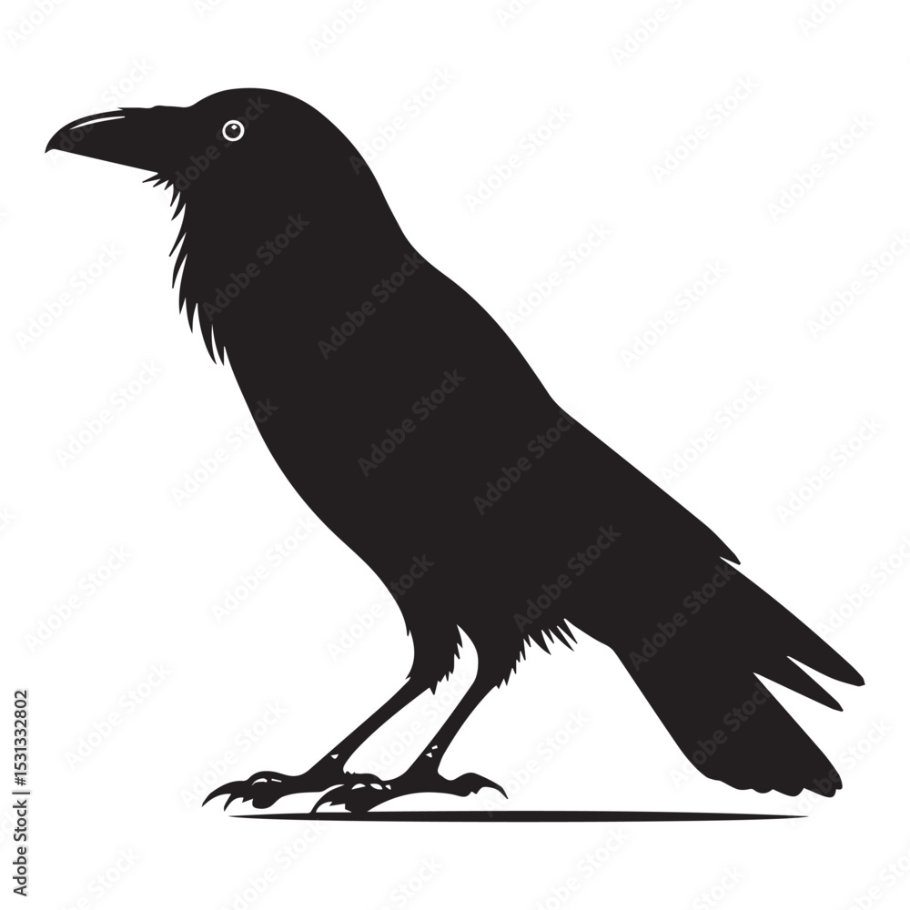 Fototapeta premium Black raven silhouette standing profile view illustration