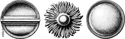 Ornamental ceiling rose and cornice moulding design for interior decoration