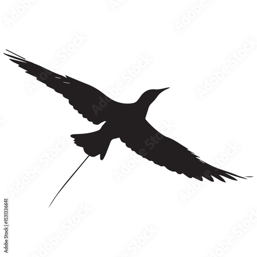 Black silhouette of a bird in flight soaring gracefully