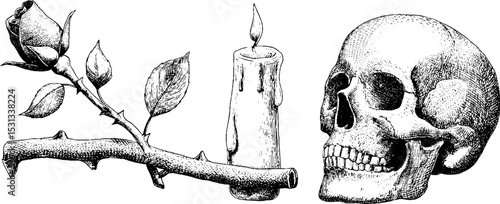 Gothic elements of skull, rose, thorny vine, and candle illustration