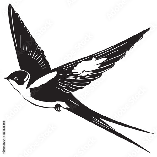 Black and white illustration of a swallow in flight