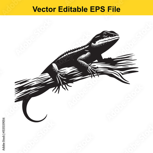 Black and white vector illustration of a lizard on a branch