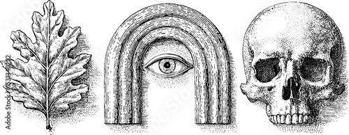 Mystical symbols: third eye, fractal leaf, and psychedelic skull design