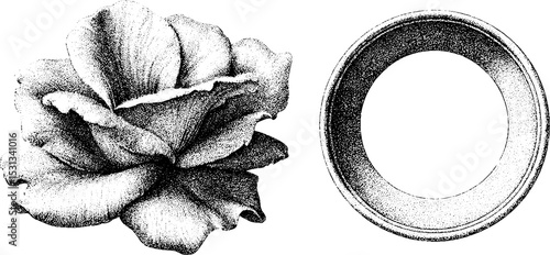 Detailed rose and circle tracery design for artistic decoration