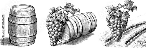 Vintage vineyard elements: wine barrel, grape bunch, cork, and vine illustration for rustic design