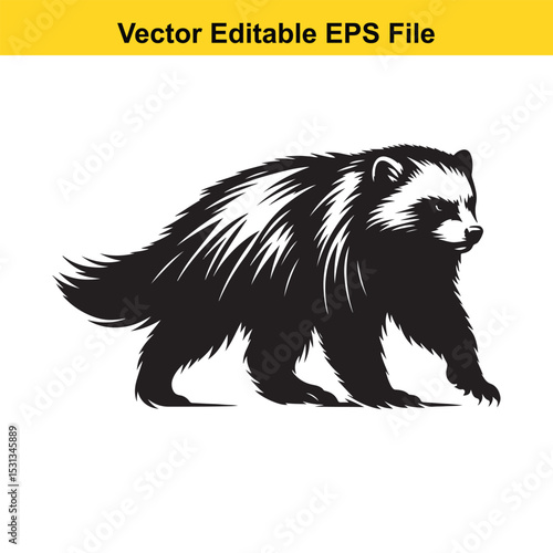 A vector illustration of a wolverine walking, black and white, EPS file