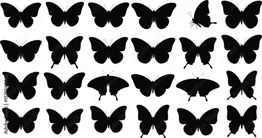 Fototapeta premium A collection of twelve tree silhouettes in various shapes and sizes on a transparent background