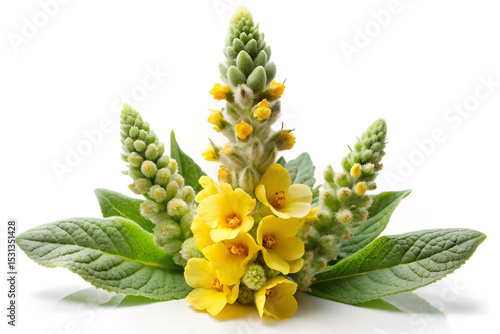 mullein generative ai