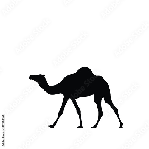 Black Silhouette of a Camel Walking on White Background