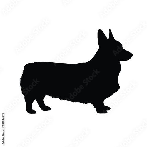 Black Silhouette of a Cardigan Welsh Corgi Dog vector